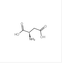 L-天门冬氨酸|56-84-8 