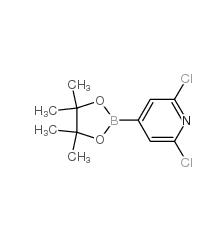 2,6-二氯吡啶-4-硼酸频哪醇酯|408492-27-3