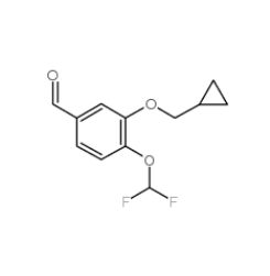 4-(二氟甲氧基)-3-(环丙基甲氧基)苯甲醛|151103-09-2