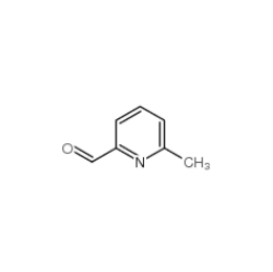 6-甲基-2-吡啶甲醛|1122-72-1 