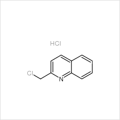 2-氯甲基喹啉盐酸盐|3747-74-8 