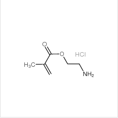 甲基丙烯酸 2-氨基乙基酯盐酸盐|2420-94-2 