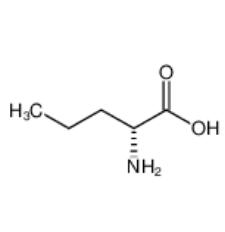 正缬氨酸|2013-12-9