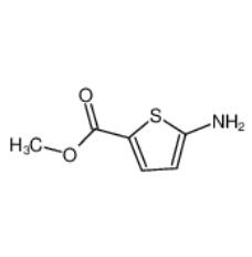 5-氨基噻吩-2-甲酸甲酯|14597-58-1