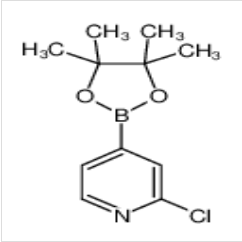 2-氯吡啶-4-硼酸频哪醇酯|458532-84-8