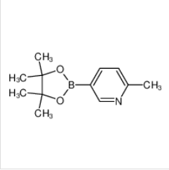 2-甲基吡啶-5-硼酸频那醇酯|610768-32-6 