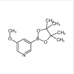 3-甲氧基-5-吡啶硼酸频哪醇酯|445264-60-8