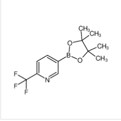 2-三氟甲基吡啶-5-硼酸频哪醇酯|1218790-39-6