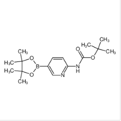 2-(BOC-氨基)吡咯烷-5-硼酸片呐醇酯|910462-31-6 