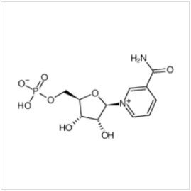 Β-烟酰胺单核苷酸|1094-61-7