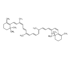 β-胡萝卜素|7235-40-7