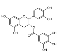 (-)-表儿茶素没食子酸酯|1257-08-5 