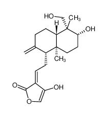 脱水穿心莲内酯|134418-28-3 