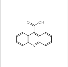 9-吖啶羧酸|5336-90-3 