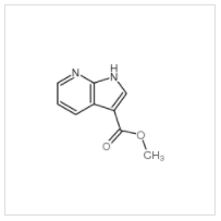 1H-吡咯并[2,3-B]吡啶-3-羧酸甲酯|808137-94-2 