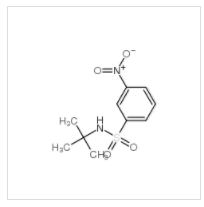 N-叔丁基-3-硝基苯磺酰胺|424818-25-7 