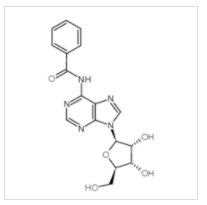 N6-苯甲酰基腺苷|4546-55-8 