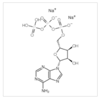 腺苷-5′-三磷酸二钠盐(ATP)|987-65-5 