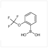 2-(三氟甲氧基)苯硼酸|175676-65-0 