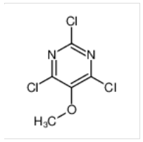 2,4,6-三氯-5-甲氧基嘧啶|60703-46-0 