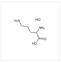 (±)-2,5-二氨基戊酸 单盐酸盐|1069-31-4 