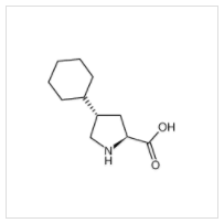 反式-4-环己基-L-脯氨酸|103201-78-1 