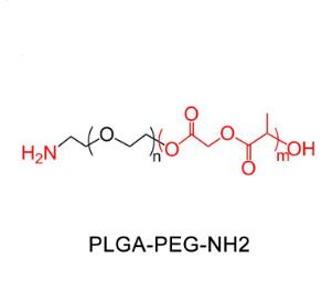 聚乳酸-羟基乙酸共聚物聚乙二醇氨基，聚乳酸-羟基乙酸共聚物PEG氨基PLGA-PEG-NH2，PLGA-PEG-Amine 